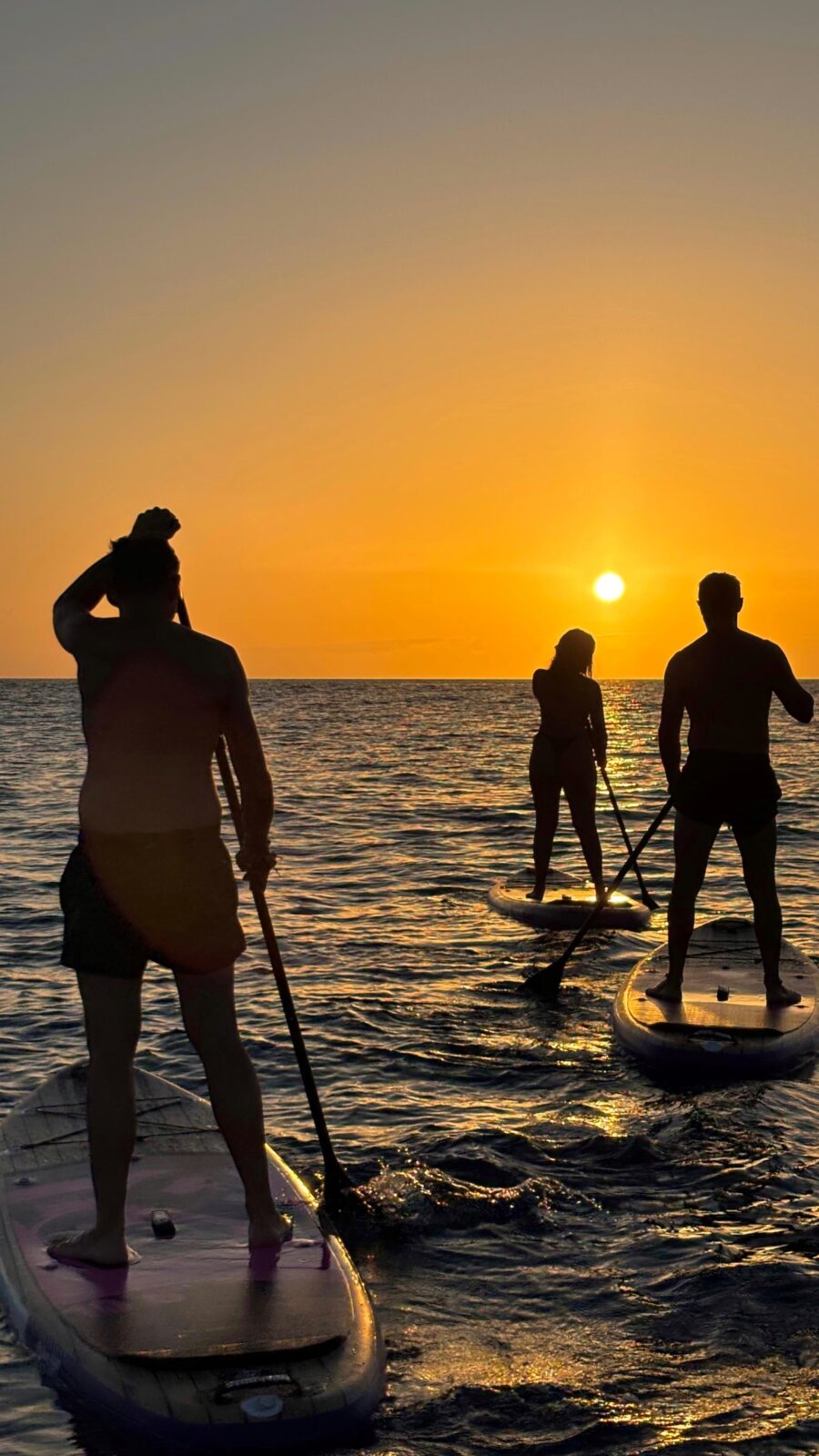 Bonos y experiencias en el mar